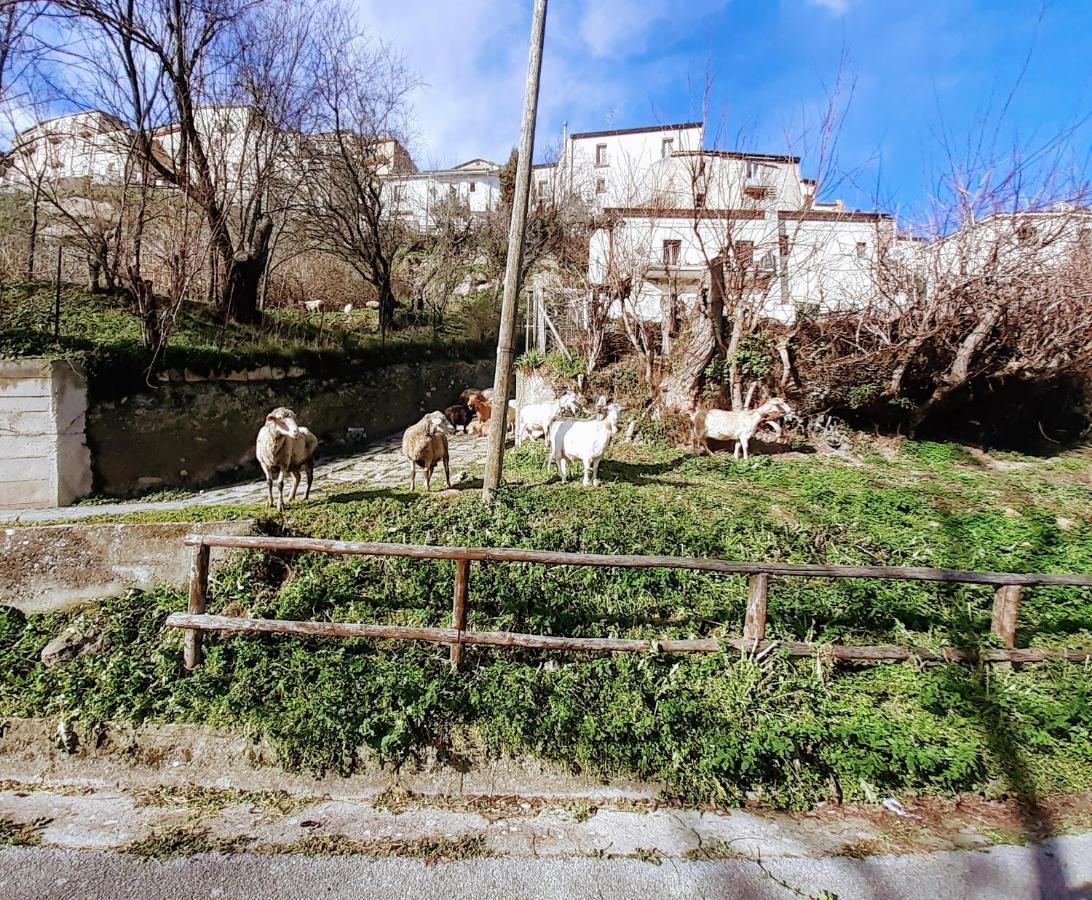 Le Origini Casa In Borgo Tipico Lucano Trivigno Exterior photo